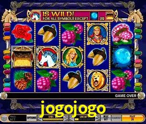 Descubra o Mundo do Cassino Online com jogojogo